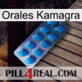 Oral Kamagra viagra1